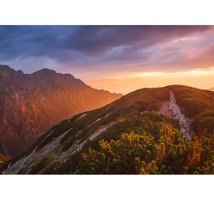 Fotomural de montañas Montañas de la noche de zakopane - TenVinilo