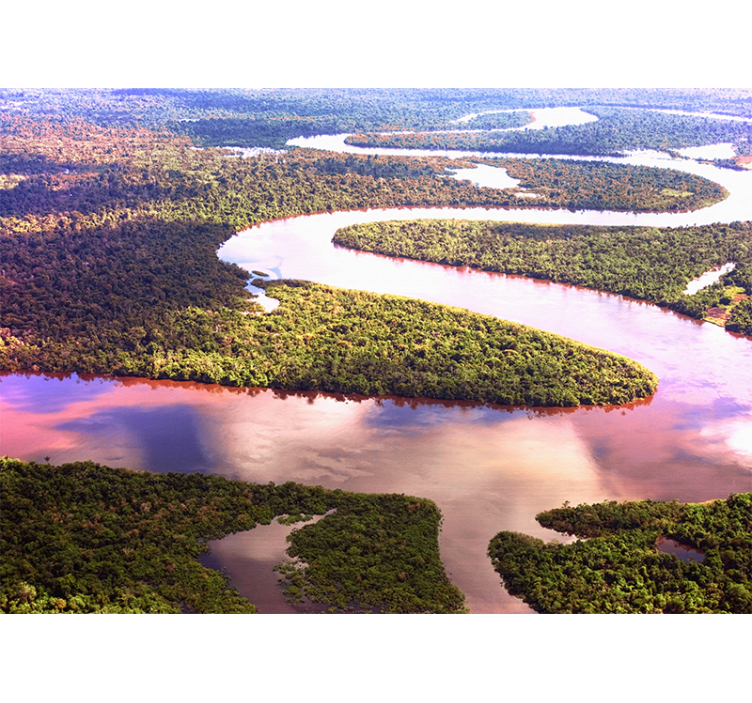 Fotomural naturaleza El rio amazonas - TenVinilo