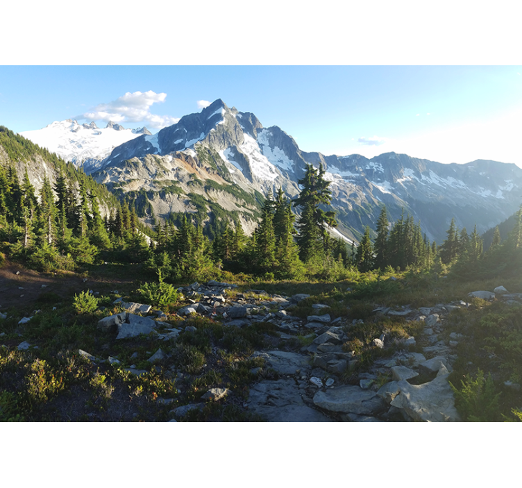 Mural de paisajes vista de bosque montañoso - TenVinilo