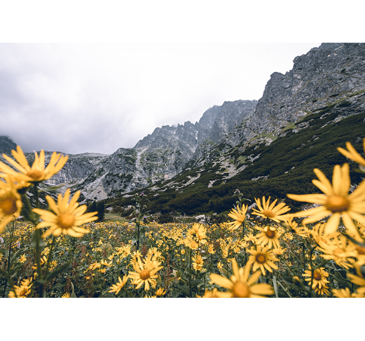 Mural de flores pradera de flores amarillas - TenVinilo