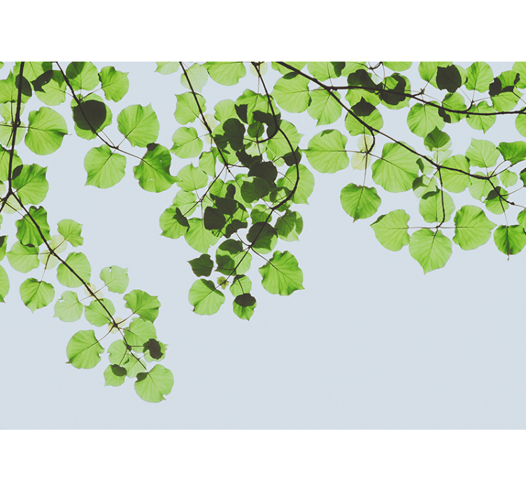 Mural de árboles dosel de ramas frondosas - TenVinilo