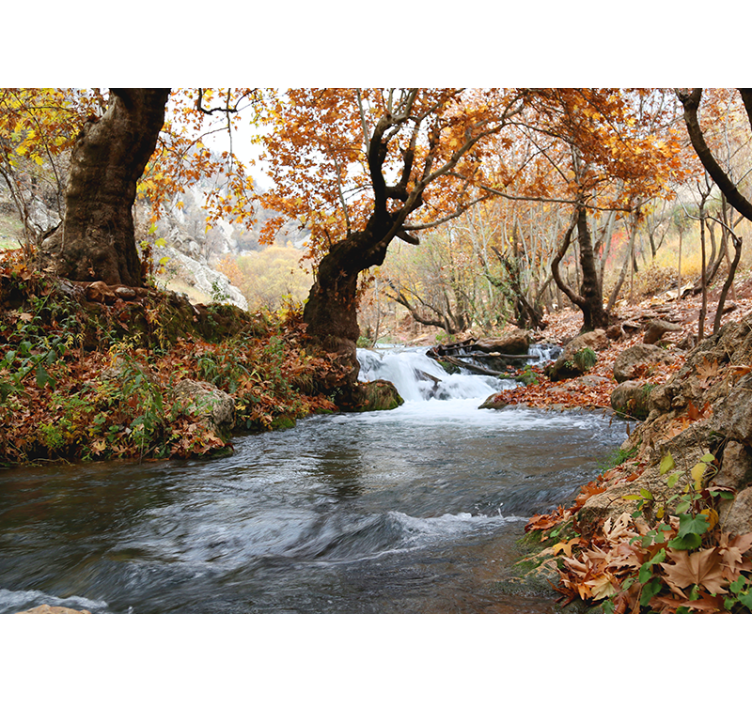 Mural de naturaleza serenidad del arroyo bosque - TenVinilo