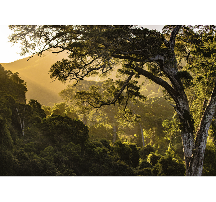Mural de naturaleza paisaje de bosque verde - TenVinilo