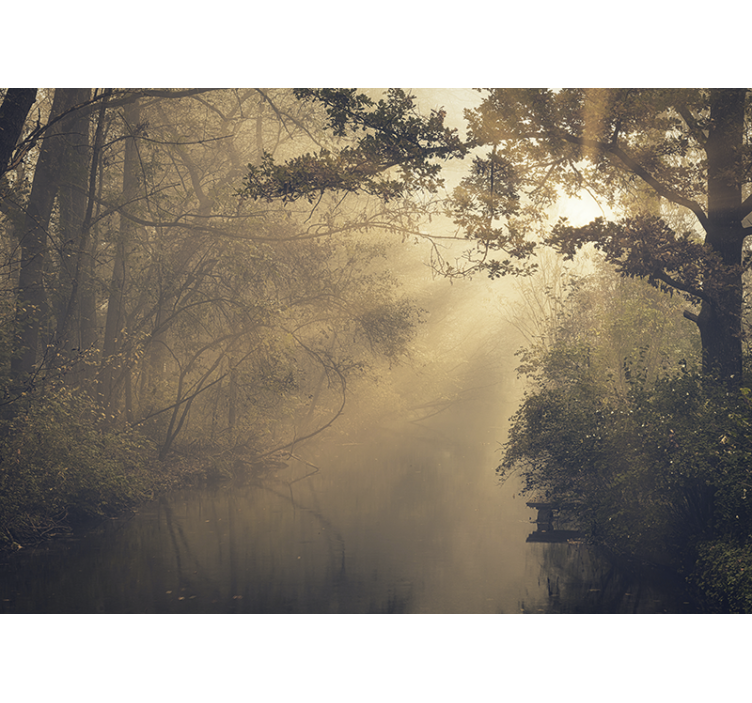 Fotomural de bosque Altos árboles verdes con llamarada solar - TenVinilo