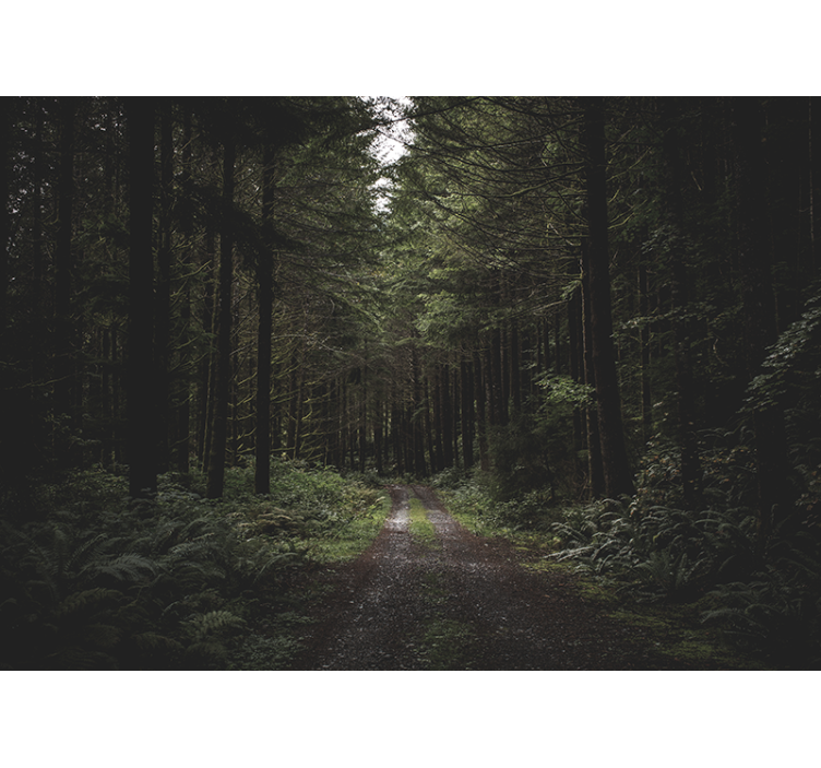 Mural de naturaleza sendero boscoso verdeante - TenVinilo