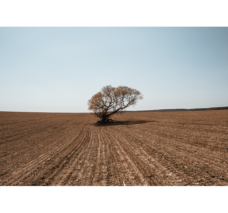Mural de naturaleza paisaje de árbol solitario - TenVinilo