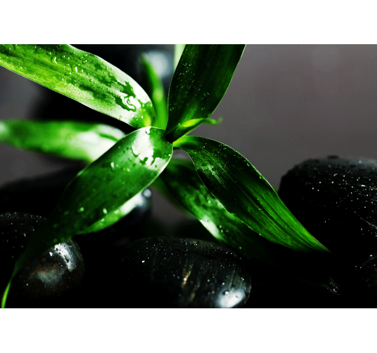 Mural de naturaleza textura de hojas frescas - TenVinilo