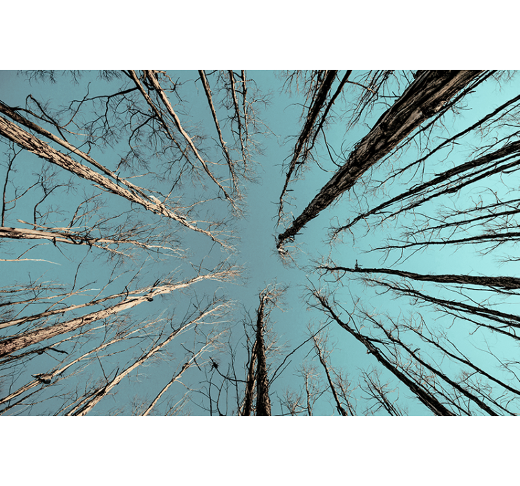 Mural de árboles alcanzando el cielo - TenVinilo