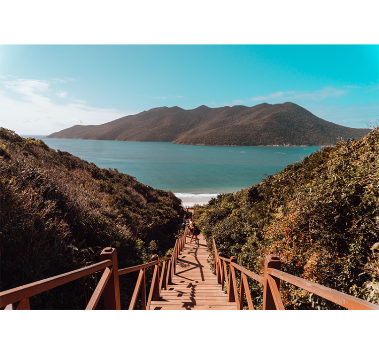 Fotomural mar Camino de la orilla del mar en la noche - TenVinilo