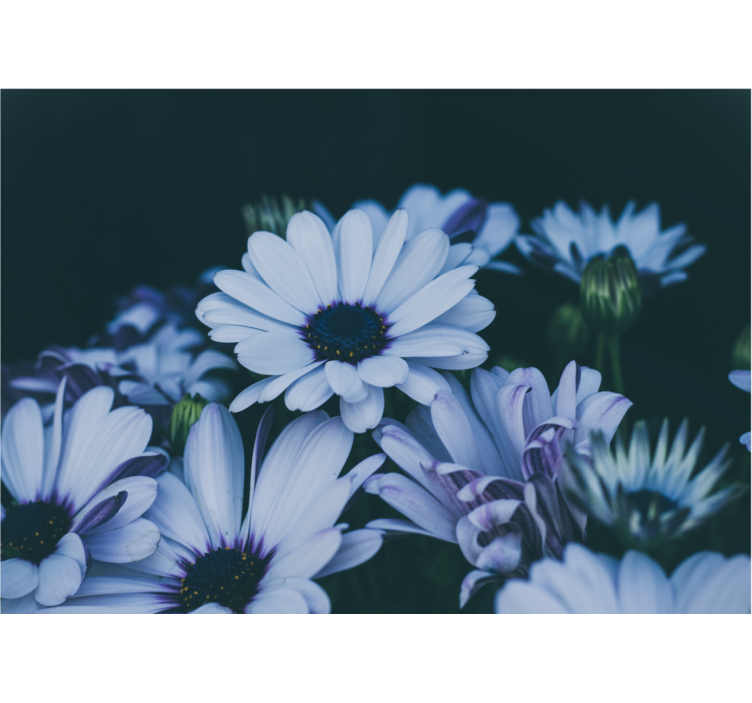 Mural de flores arreglo floral sereno - TenVinilo