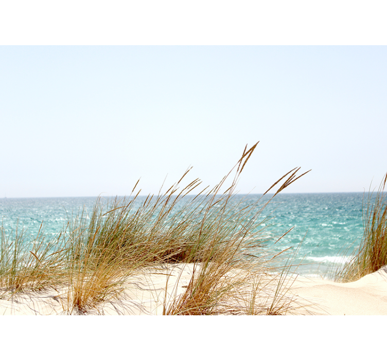 Mural de naturaleza vista de la costa tranquila - TenVinilo