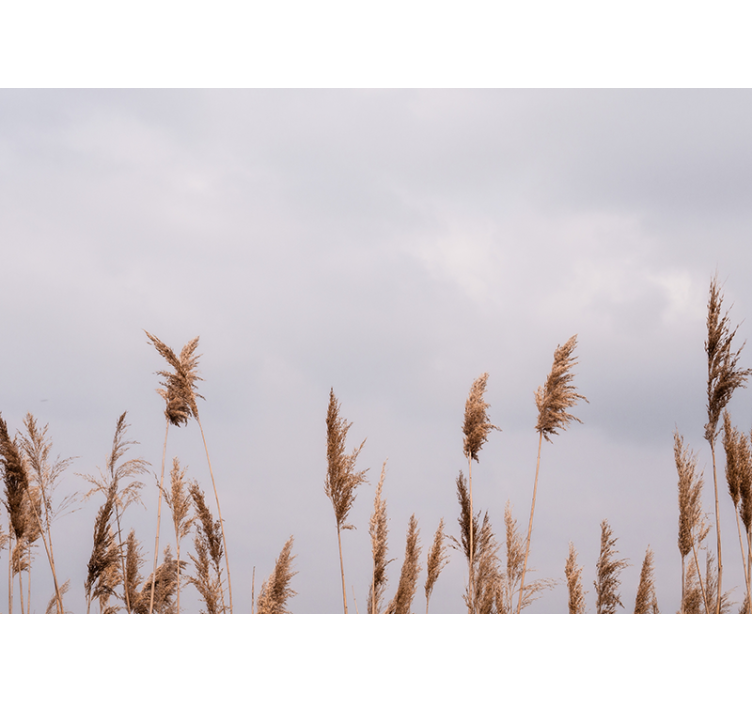 Mural de árboles siluetas de hierba alta - TenVinilo