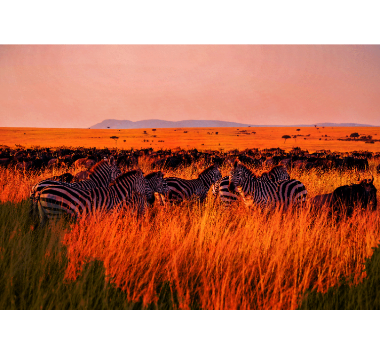 Mural de naturaleza zebras en el serengeti - TenVinilo