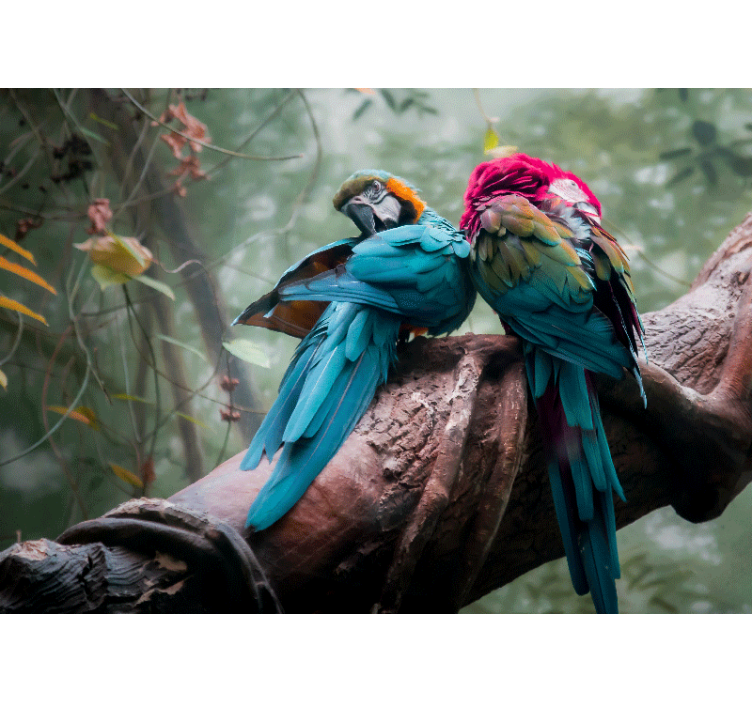 Mural de animales lloros coloridos en abrazo - TenVinilo