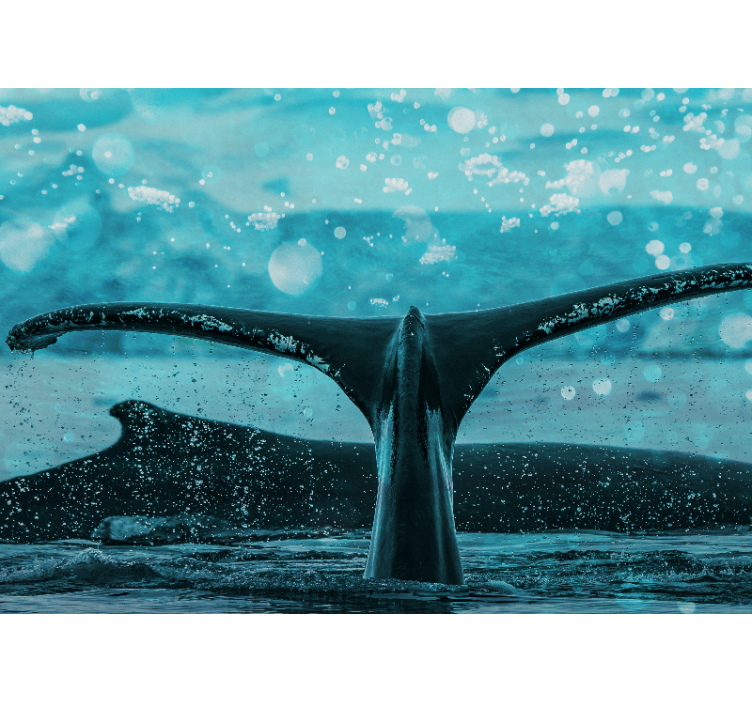 Mural de animales aletazo de ballena - TenVinilo