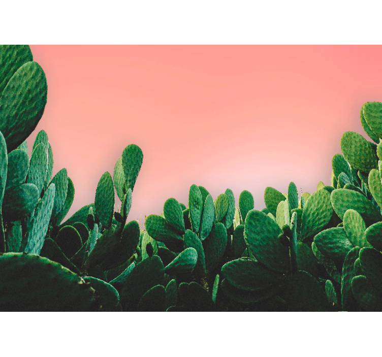 Mural de naturaleza paisaje de cactus - TenVinilo