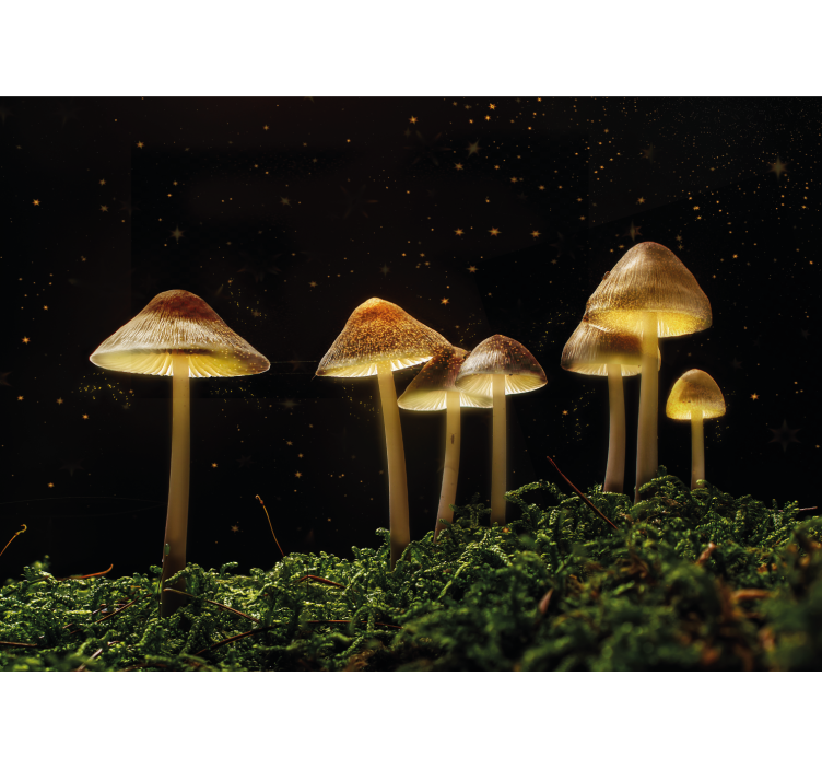 Mural de naturaleza escena de hongos luminosos - TenVinilo