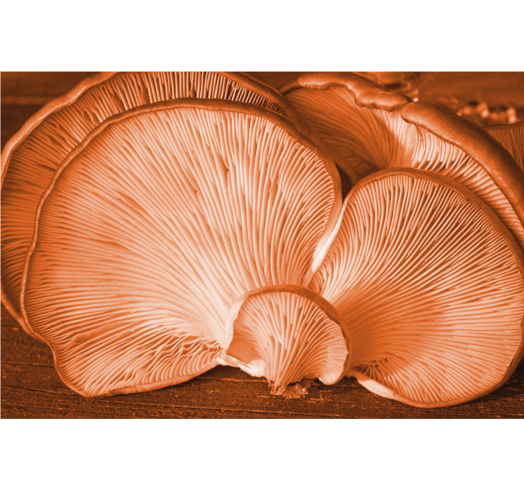 Mural de flores con textura de champiñón - TenVinilo