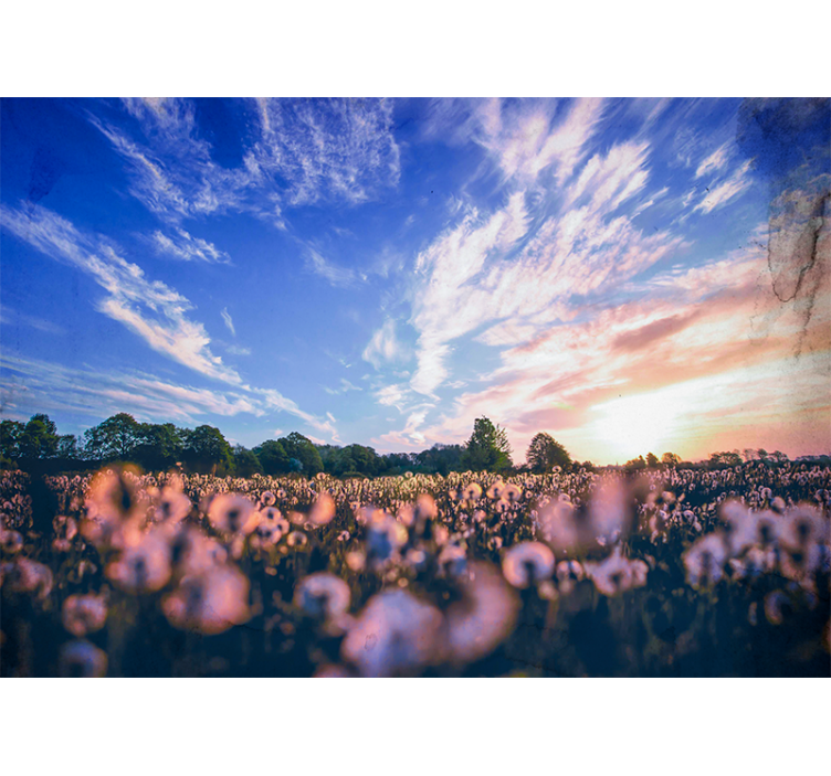 Mural de flores campo de dientes de león sereno - TenVinilo