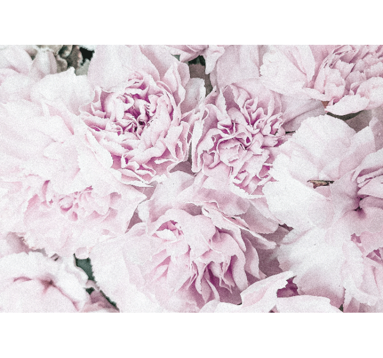 Mural de flores en suaves tonos rosas - TenVinilo