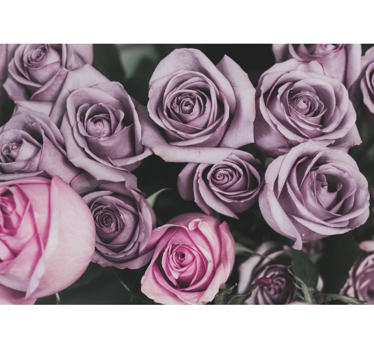 Mural de flores ramo de rosas lavanda - TenVinilo