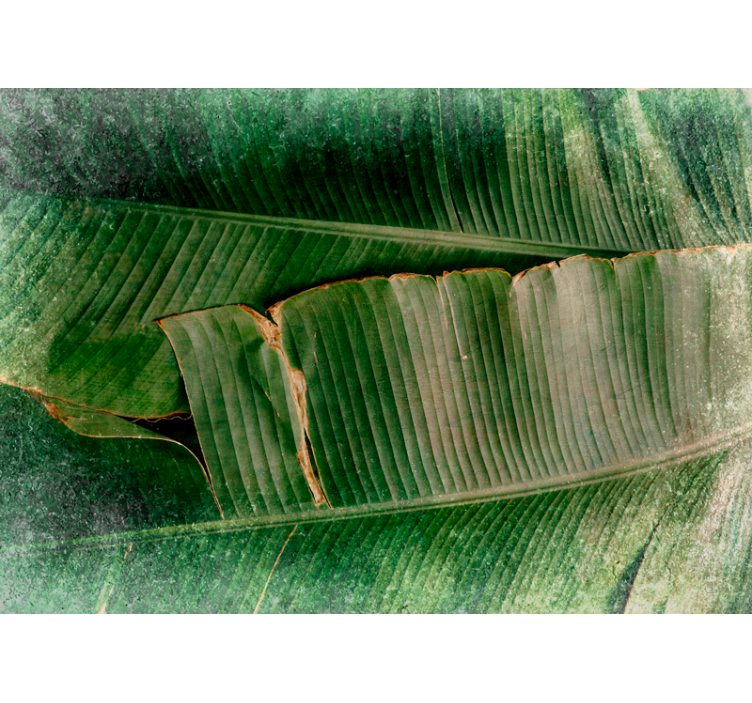 Mural de naturaleza capas de follaje vibrante - TenVinilo