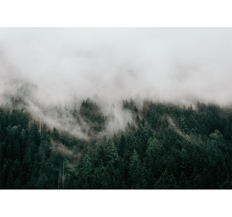 Mural de bosque paisaje de bosque neblinoso - TenVinilo
