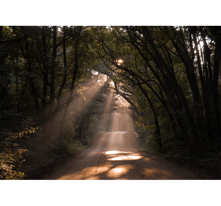 Mural de naturaleza sendero del bosque radiante - TenVinilo