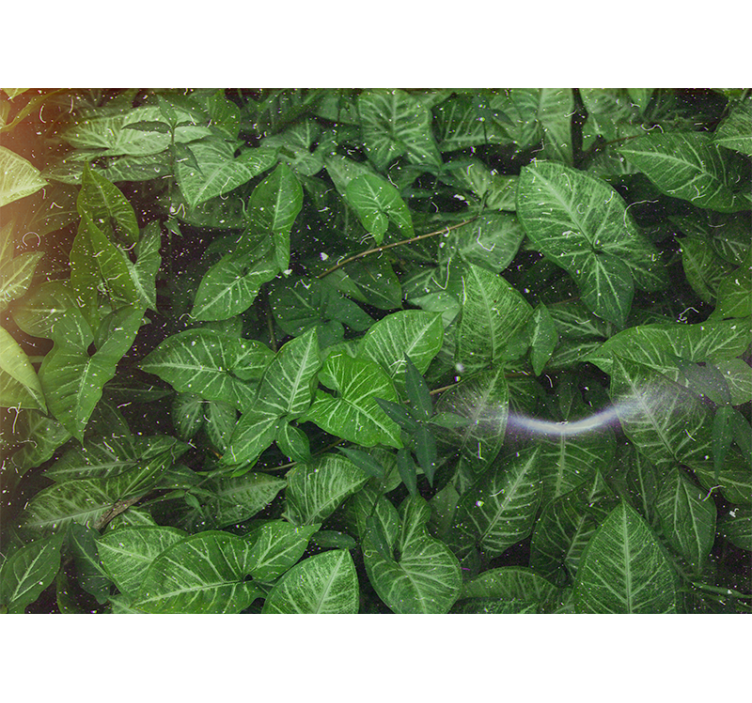 Mural de naturaleza composición de hojas vivas - TenVinilo