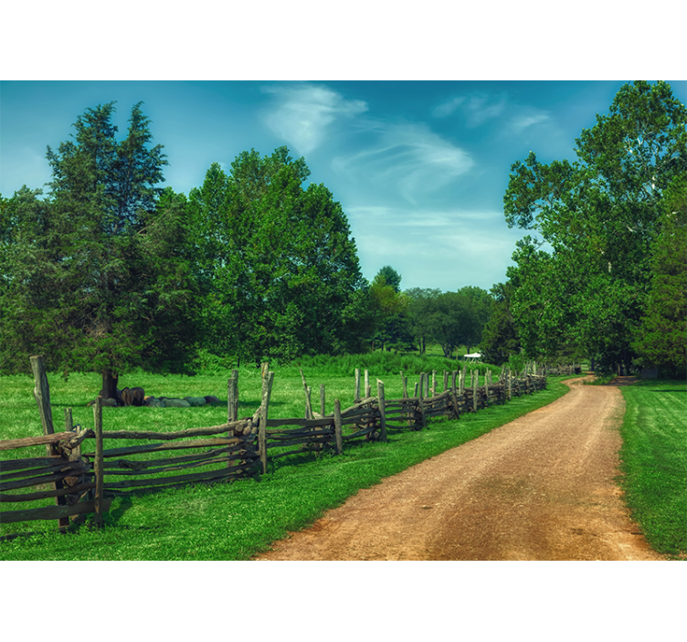 Mural de paisajes sendero verde vibrante - TenVinilo