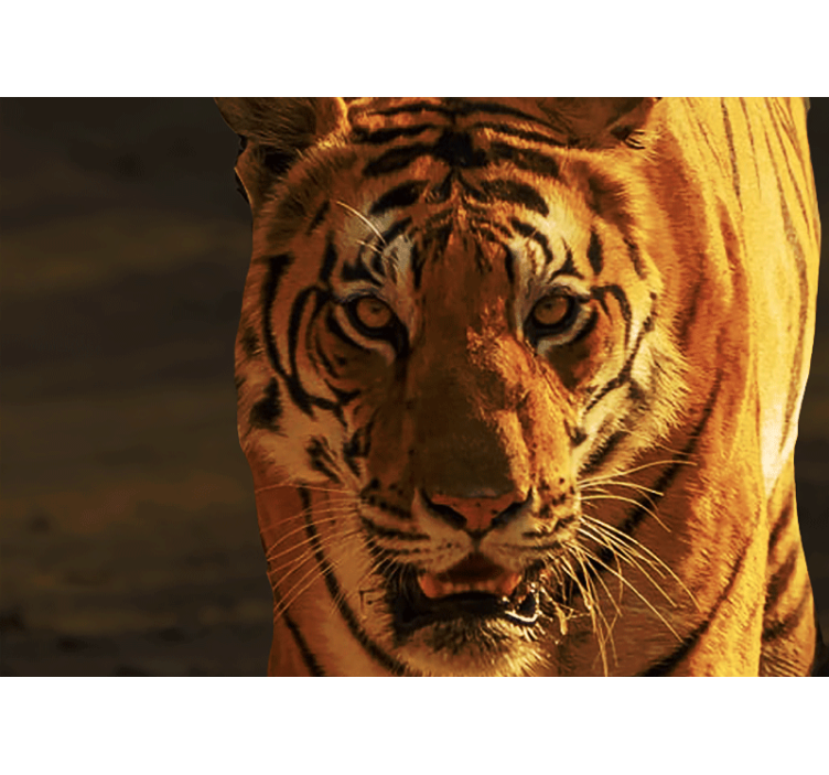 Mural de leones mirada regal de tigre - TenVinilo