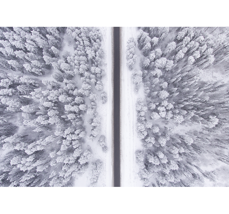 Fotomural naturaleza carretera y bosque nevados - TenVinilo