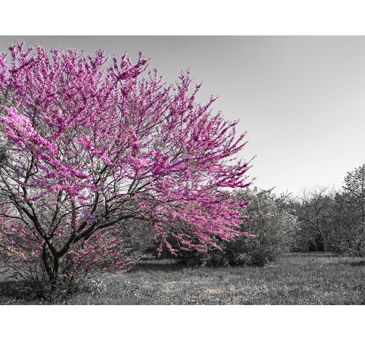Mural de flores Árbol de flores de cerezo - TenVinilo