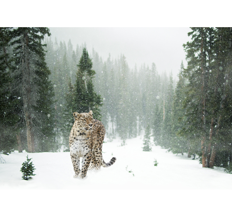 Fotomural 3D Leopardo 3d - TenVinilo