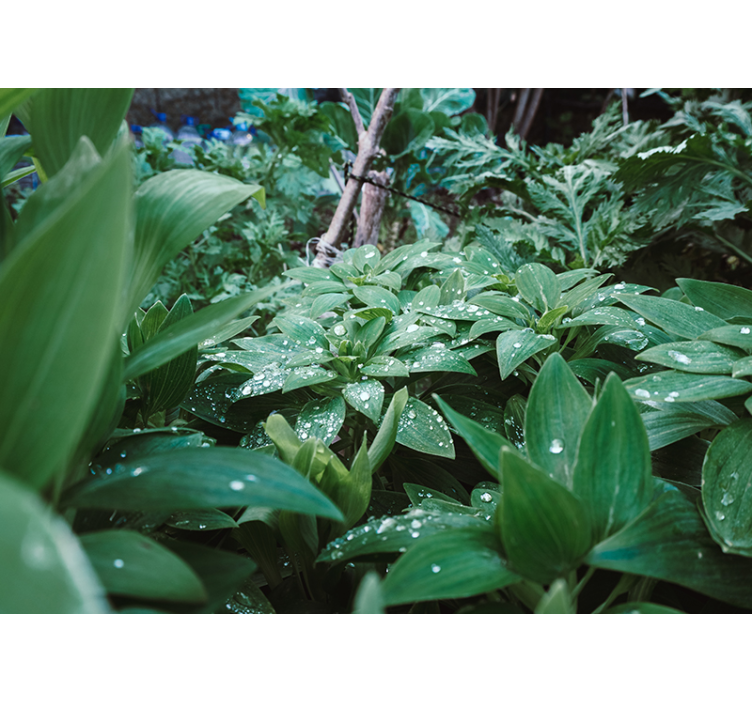 Mural de naturaleza textura de vegetación exuberante - TenVinilo