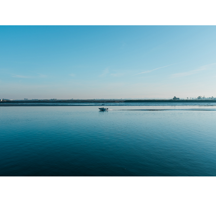 Fotomural mar Pesca en aveiro - TenVinilo
