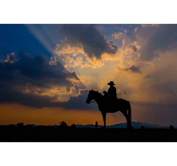 Mural de animales jinete en caballo - TenVinilo