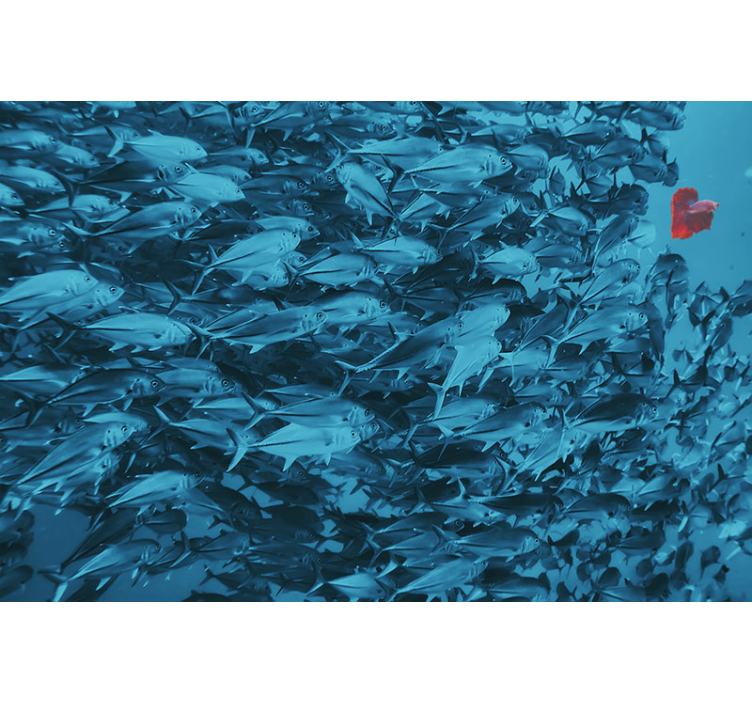 Mural de animales escuela de peces submarinos - TenVinilo