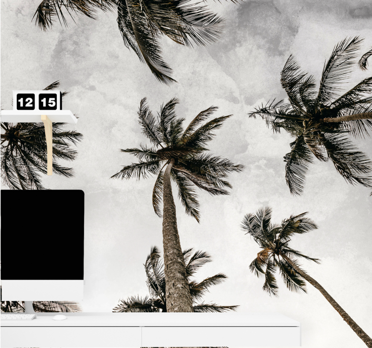 Fotomural de arboles Fotografía de ángulo bajo de palmeras. - TenVinilo