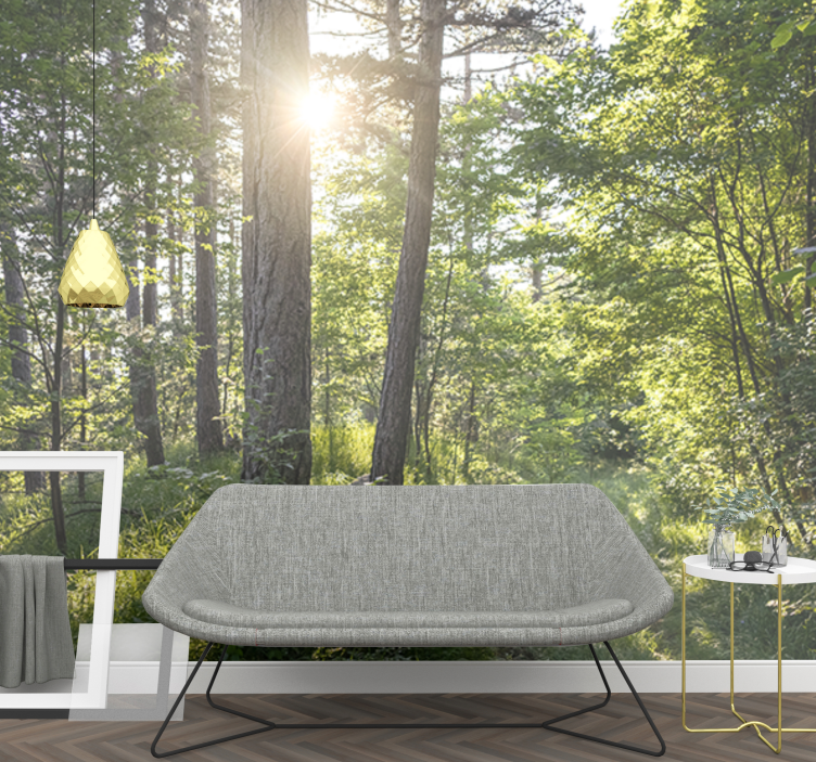 Fotomural de bosque Día soleado en el bosque - TenVinilo