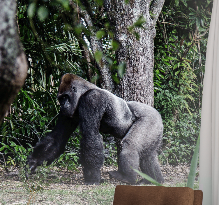 Mural de animales gorila majestuoso caminando - TenVinilo