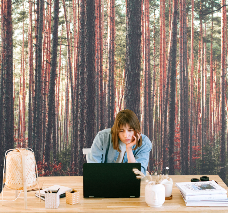 Mural de bosque bosques de pinos tranquilos - TenVinilo