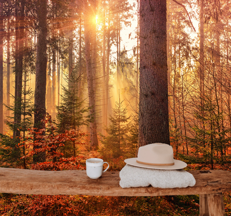 Mural de bosque brillo del bosque iluminado - TenVinilo