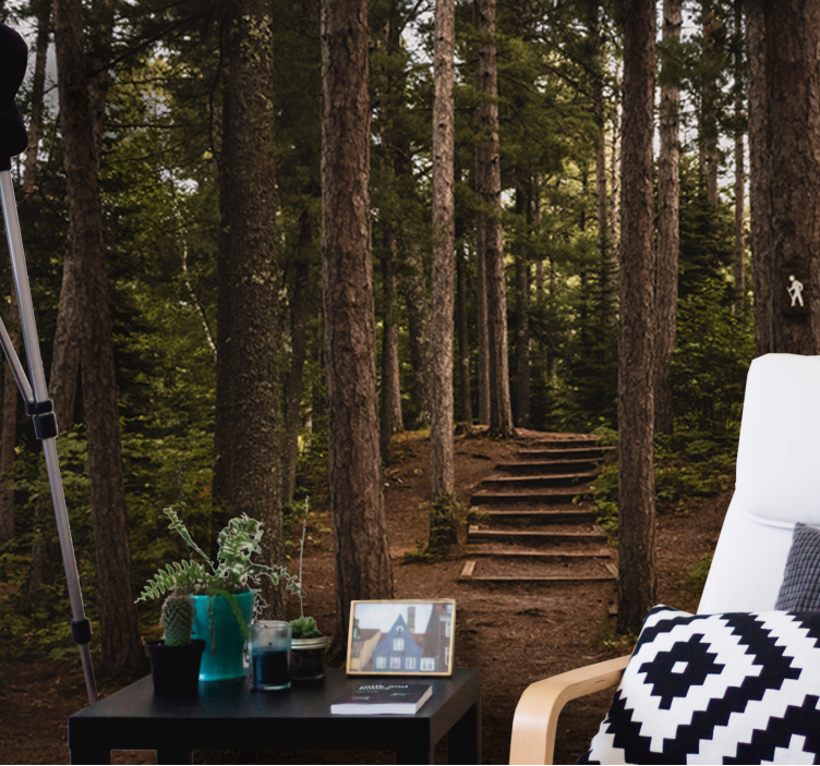 Mural de bosque sendero de serenidad - TenVinilo