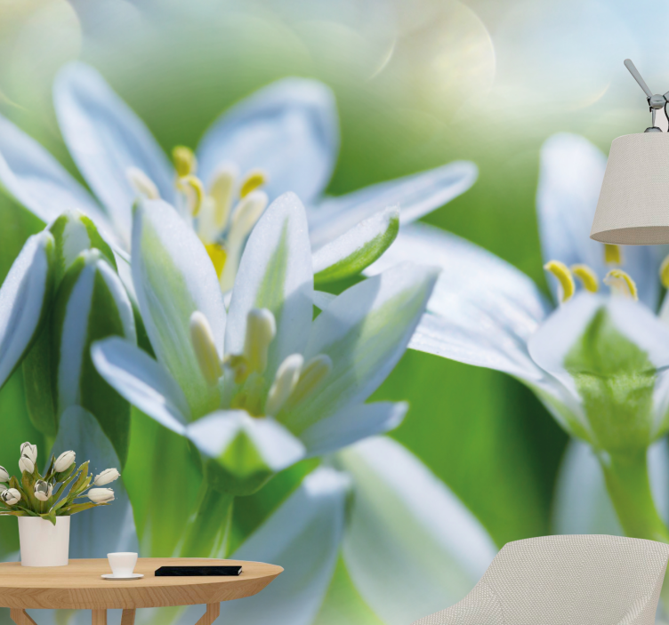 Mural de flores flores blancas suaves - TenVinilo