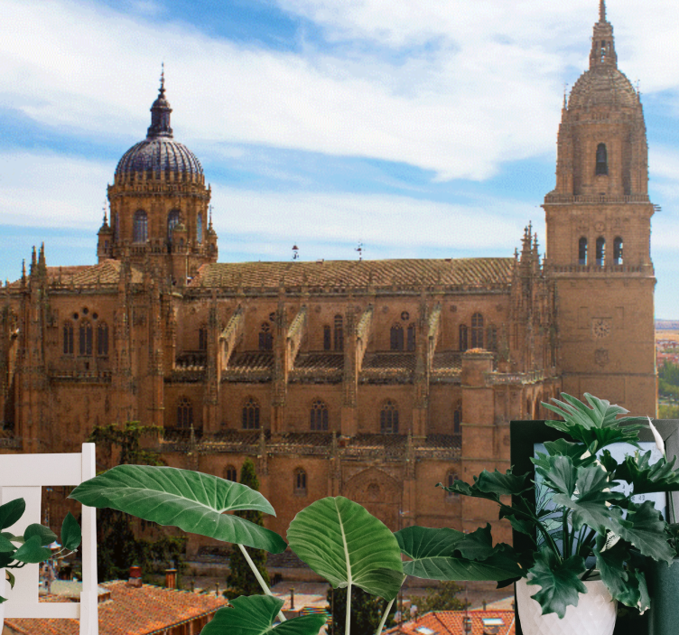 Mural de madrid vista histórica de la catedral - TenVinilo