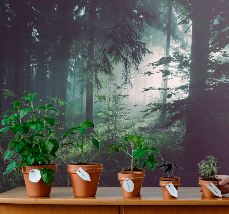 Mural de naturaleza paisaje boscosa y verde - TenVinilo