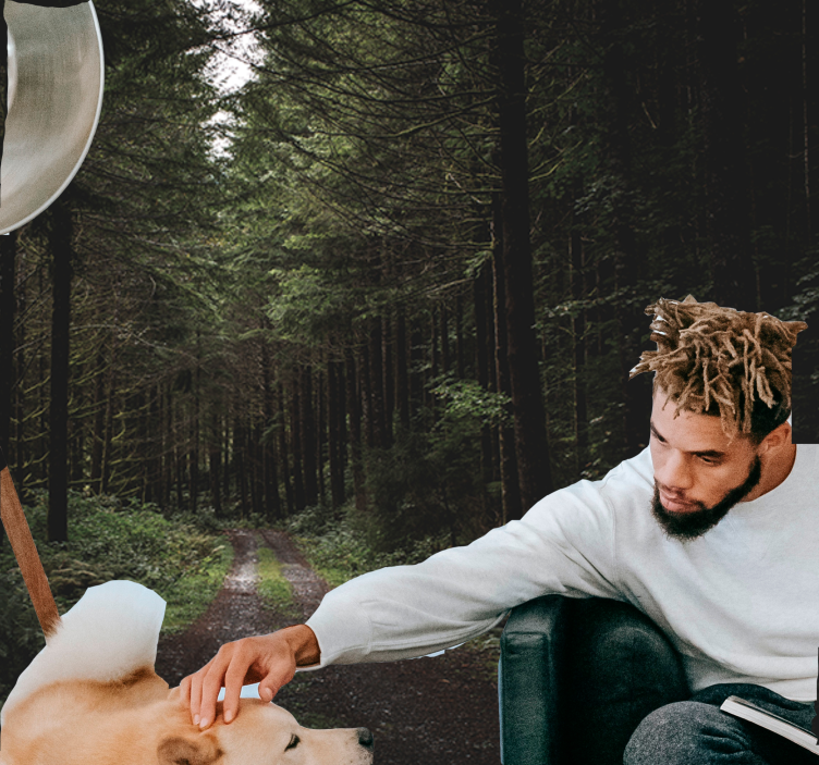 Mural de naturaleza sendero boscoso verdeante - TenVinilo