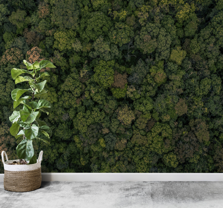 Fotomural pared de bosque con árboles - TenVinilo