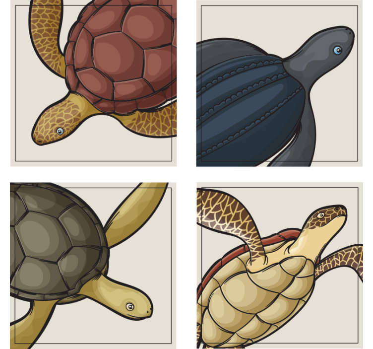 Portavasos frikis ilustraciones de tortugas coloridas - TenVinilo